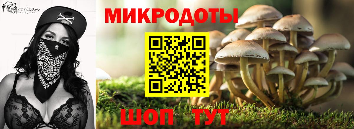 Кимовск  Псилоцибиновые грибы Psilocybe  Вход с VPN 